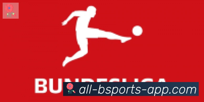 bsports体育合作伙伴